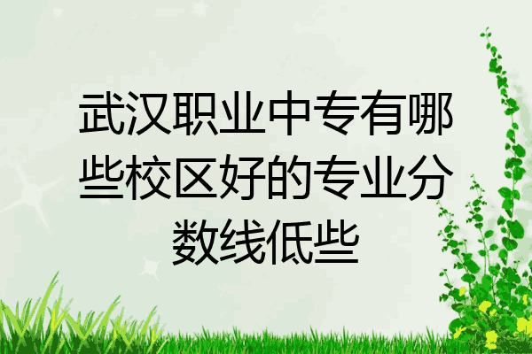 武汉职业中专有哪些校区好的专业分数线低些