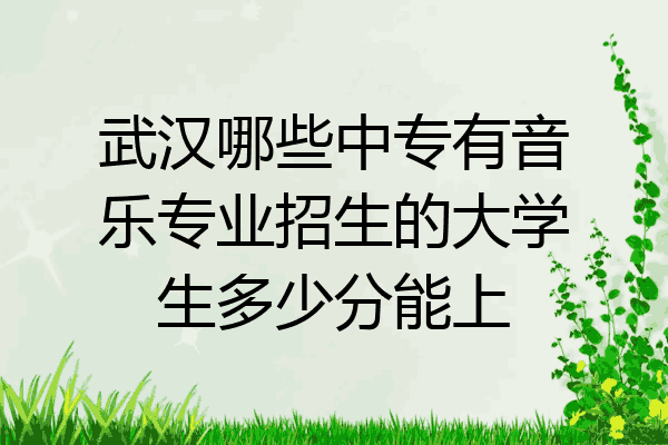武汉哪些中专有音乐专业招生的大学生多少分能上