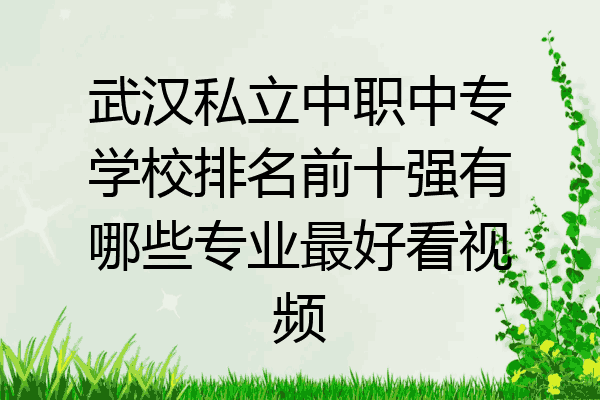 武汉私立中职中专学校排名前十强有哪些专业最好看视频