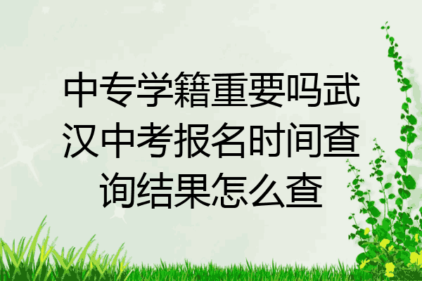 中专学籍重要吗武汉中考报名时间查询结果怎么查