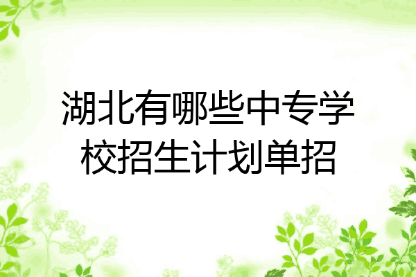 湖北有哪些中专学校招生计划单招