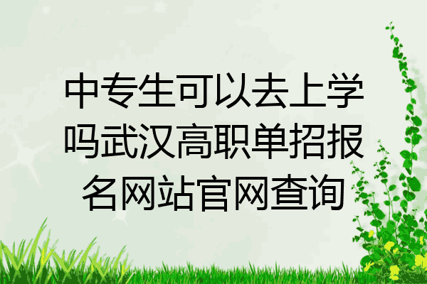 中专生可以去上学吗武汉高职单招报名网站官网查询