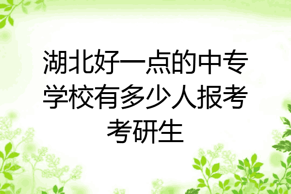 湖北好一点的中专学校有多少人报考考研生