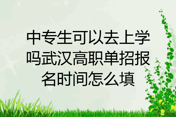 中专生可以去上学吗武汉高职单招报名时间怎么填