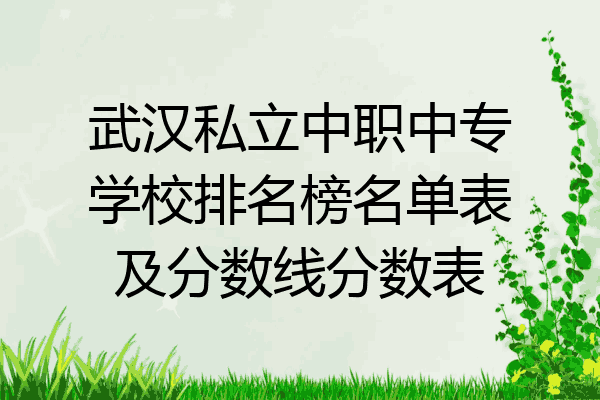武汉私立中职中专学校排名榜名单表及分数线分数表