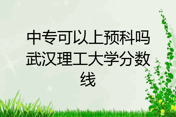 中专可以上预科吗武汉理工大学分数线