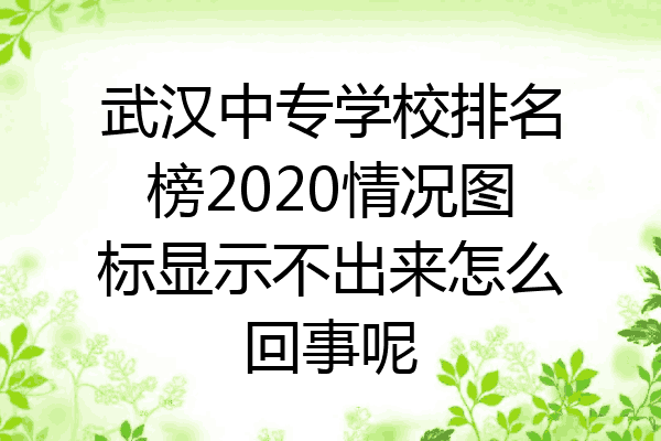 武汉中专学校排名榜2020情况图标显示不出来怎么回事呢