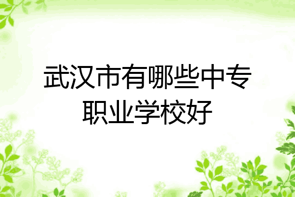 武汉市有哪些中专职业学校好