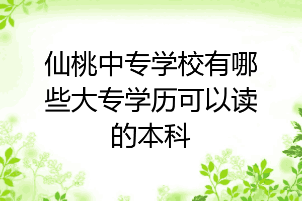 仙桃中专学校有哪些大专学历可以读的本科