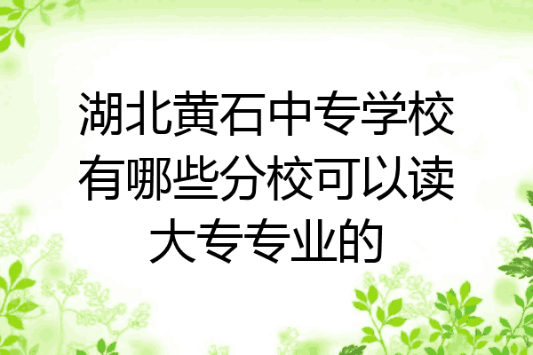 湖北黄石中专学校有哪些分校可以读大专专业的