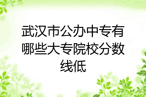 武汉市公办中专有哪些大专院校分数线低