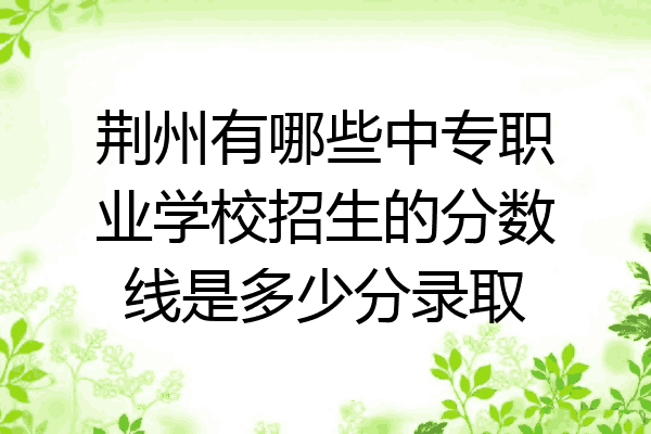 荆州有哪些中专职业学校招生的分数线是多少分录取