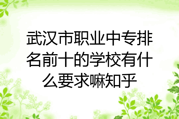 武汉市职业中专排名前十的学校有什么要求嘛知乎