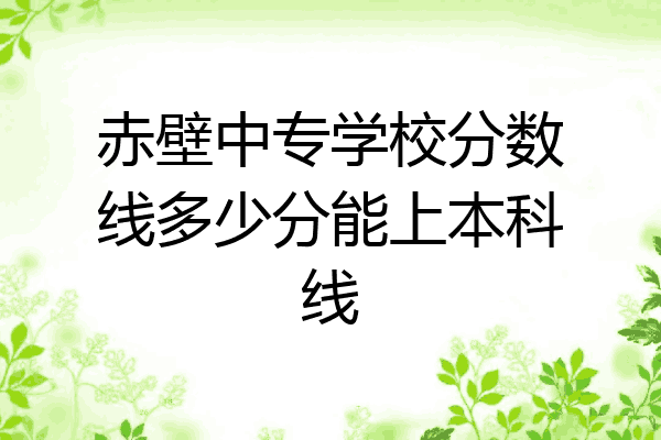 赤壁中专学校分数线多少分能上本科线