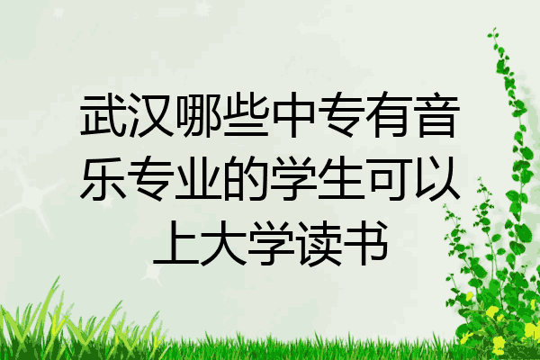 武汉哪些中专有音乐专业的学生可以上大学读书