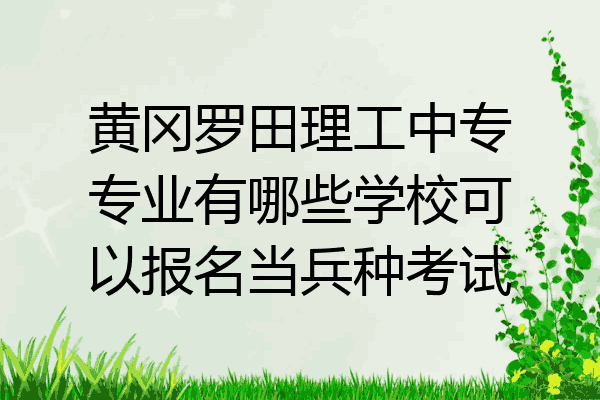 黄冈罗田理工中专专业有哪些学校可以报名当兵种考试