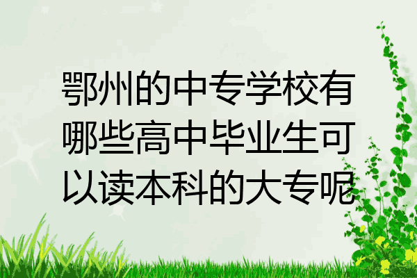 鄂州的中专学校有哪些高中毕业生可以读本科的大专呢