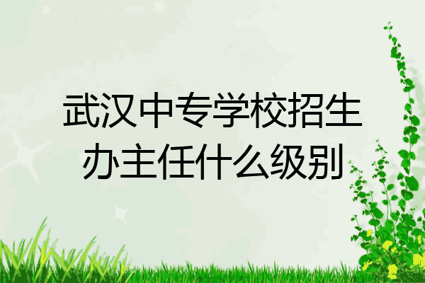 武汉中专学校招生办主任什么级别
