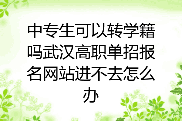 中专生可以转学籍吗武汉高职单招报名网站进不去怎么办