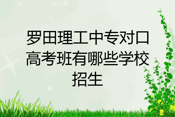 罗田理工中专对口高考班有哪些学校招生