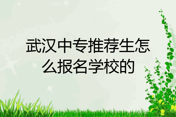 武汉中专推荐生怎么报名学校的
