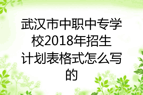 武汉市中职中专学校2018年招生计划表格式怎么写的