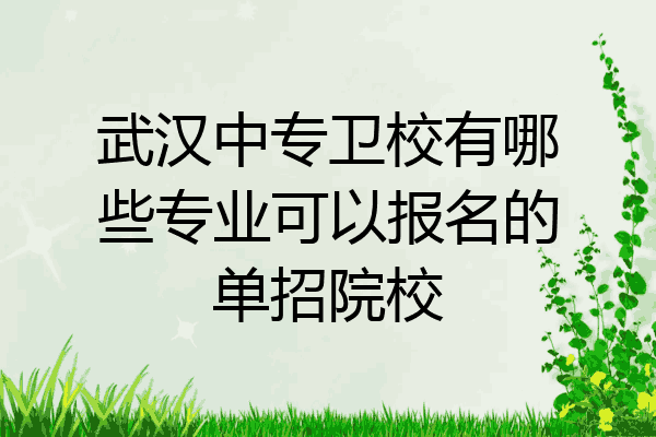 武汉中专卫校有哪些专业可以报名的单招院校