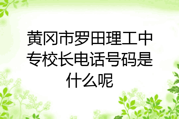 黄冈市罗田理工中专校长电话号码是什么呢