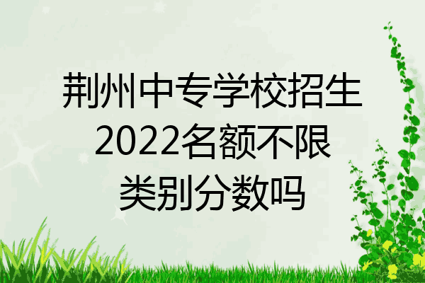 荆州中专学校招生2022名额不限类别分数吗