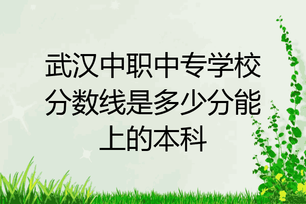 武汉中职中专学校分数线是多少分能上的本科