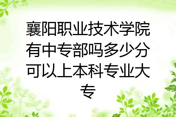 襄阳职业技术学院有中专部吗多少分可以上本科专业大专