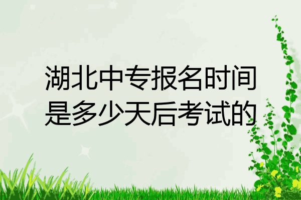 湖北中专报名时间是多少天后考试的