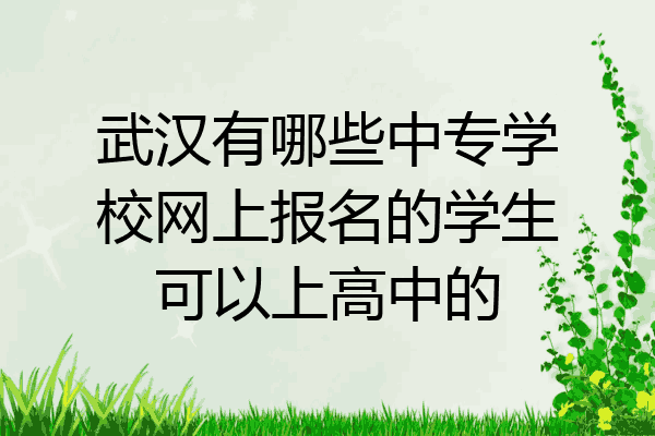 武汉有哪些中专学校网上报名的学生可以上高中的