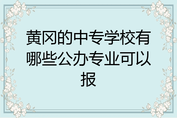 黄冈的中专学校有哪些公办专业可以报