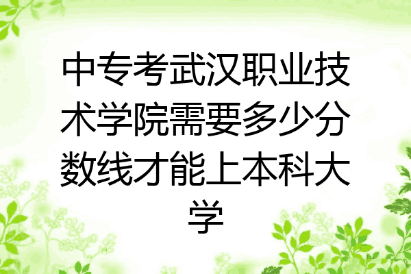 中专考武汉职业技术学院需要多少分数线才能上本科大学