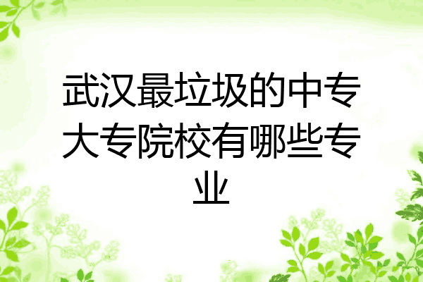 武汉最垃圾的中专大专院校有哪些专业