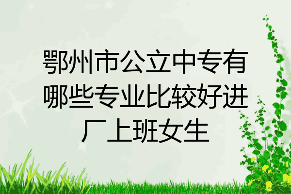 鄂州市公立中专有哪些专业比较好进厂上班女生