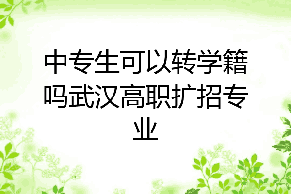 中专生可以转学籍吗武汉高职扩招专业