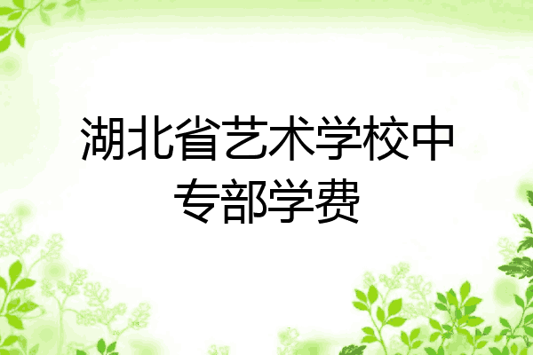 湖北省艺术学校中专部学费