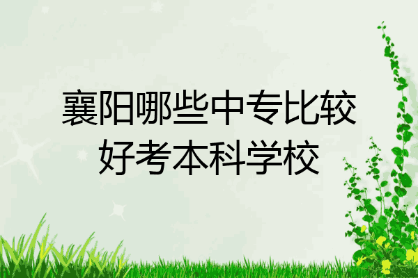 襄阳哪些中专比较好考本科学校