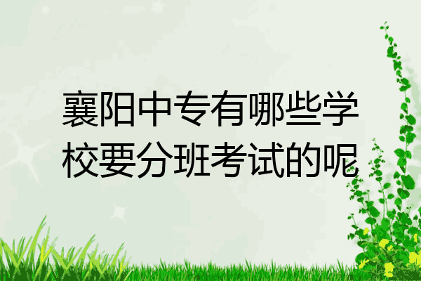 襄阳中专有哪些学校要分班考试的呢