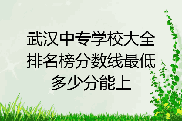 武汉中专学校大全排名榜分数线最低多少分能上