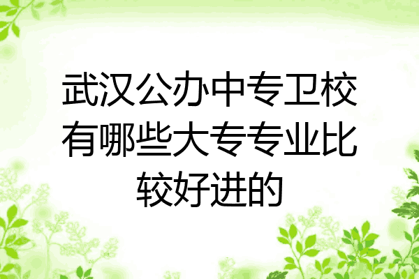 武汉公办中专卫校有哪些大专专业比较好进的