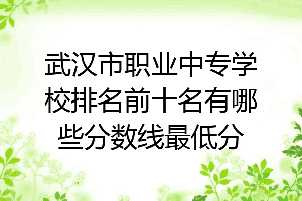 武汉市职业中专学校排名前十名有哪些分数线最低分