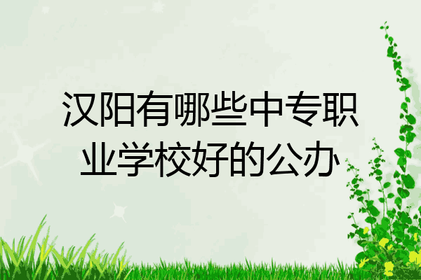 汉阳有哪些中专职业学校好的公办