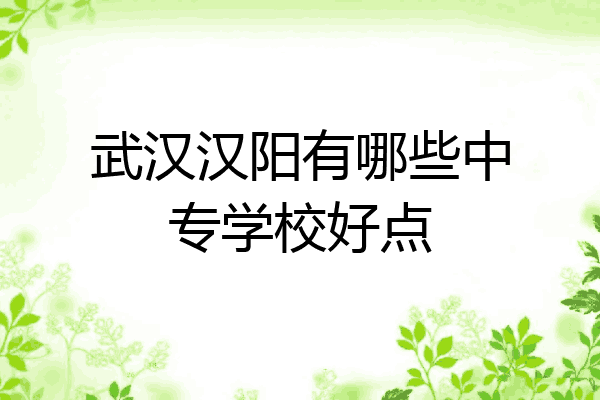 武汉汉阳有哪些中专学校好点