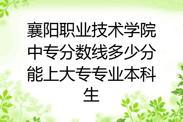 襄阳职业技术学院中专分数线多少分能上大专专业本科生