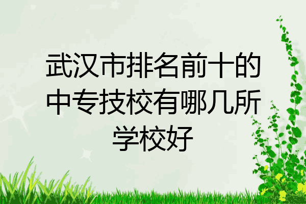 武汉市排名前十的中专技校有哪几所学校好