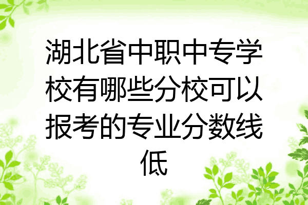 湖北省中职中专学校有哪些分校可以报考的专业分数线低