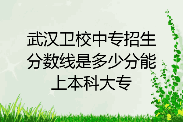 武汉卫校中专招生分数线是多少分能上本科大专